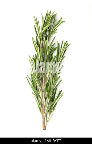 Fresh rosemary sprigs, in a wooden bowl. Rosemary twigs, branches of Salvia rosmarinus. Aromatic and evergreen shrub. Medicinal and culinary herb. Stock Photo