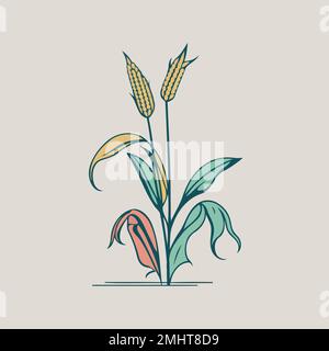 corn plant cultivation with ripe corn cobs vector illustration Stock ...