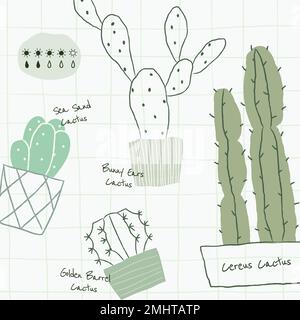 Cactus plant watering chart template vector Stock Vector