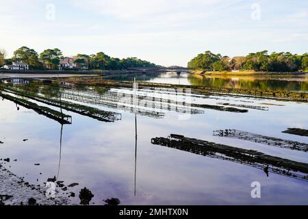 oyster farming lake installed in the hossegor canal atlantic coast Stock Photo