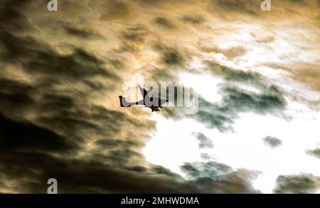 Dundee, Tayside, Scotland, UK. 27th Jan, 2023. UK Weather: Temperatures in North East Scotland fell to 0°C, with a mix of cloud and morning winter sunshine. A twin-engine turboprop aircraft flies above the cold January skyline. Credit: Dundee Photographics/Alamy Live News Stock Photo