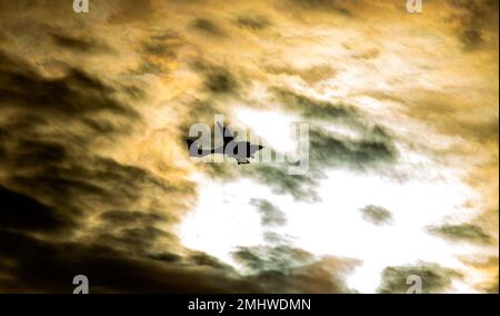 Dundee, Tayside, Scotland, UK. 27th Jan, 2023. UK Weather: Temperatures in North East Scotland fell to 0°C, with a mix of cloud and morning winter sunshine. A twin-engine turboprop aircraft flies above the cold January skyline. Credit: Dundee Photographics/Alamy Live News Stock Photo