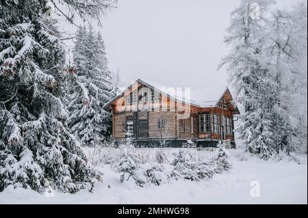 Cozy wooden cabin nestled in a winter wonderland of fresh snow, surrounded by towering pine trees in a secluded mountain setting. The perfect escape f Stock Photo