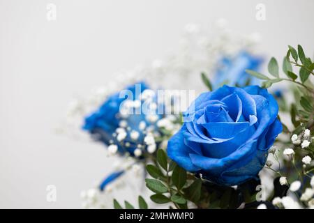 Bouquet with medium blue roses on neutral background, copy space Stock Photo