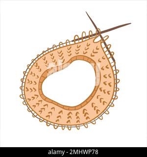 Vector color illustration of sample of knitted pattern on knitting needles Stock Vector