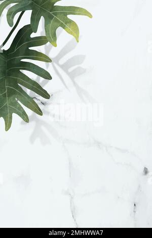 Philodendron radiatum leaf pattern on white marble background vector Stock Vector