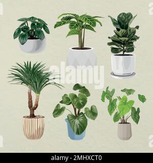 Plant vector art, Houseplant set in flower pots Stock Vector