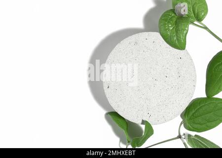 A podium made of concrete with green leaves of a plant for the presentation of packaging and cosmetics, top view, on a white background. Product displ Stock Photo
