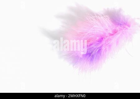 Pink lilac fluff feather isolated on white background close-up. Fluffy pink fluff. Stock Photo