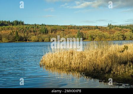 Llwyn Onn Reservoir Brecon Beacons South Wales Stock Photo