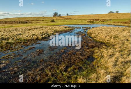 A Pond or Pool on Mynydd Illtyd Common in the Brecon Beacons National Park, south Wales, in winter on a cold but sunny day. The view looks to the west. Stock Photo