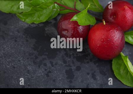 Fresh plums with leaves and water drops on a dark background. Copy space Stock Photo