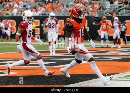 Oakland, California, USA. 17th Nov, 2019. Cincinnati Bengals wide receiver Auden  Tate (19) was taken off the field after getting hurt in a play with Oakland  Raiders safety Curtis Riley (35), during