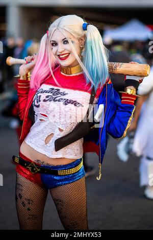 Harley Quinn Hammer Pose Banner Flag