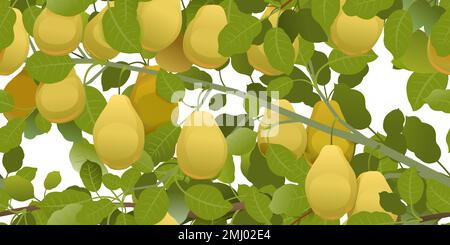 Branches overgrown pear with ripe fruits. Garden plant with edible harvest. Seamless pattern composition. Branch with foliage and leaves. Isolated on Stock Vector