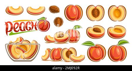 Vector Peach Set, horizontal banner with lot collection of cut out illustrations fruit still life composition, sweet chopped peaches in glass plate, g Stock Vector