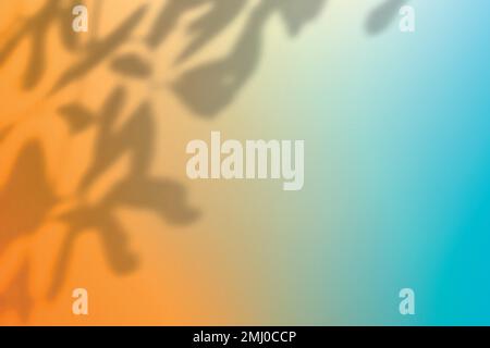Colorful gradient background vector with leaf shadow Stock Vector