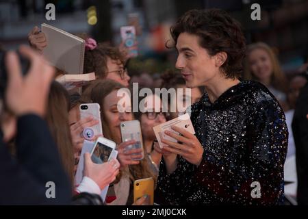 RTW on X: Timothée Chalamet - #Dune Media Day, London, October 18