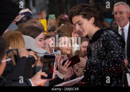 RTW on X: Timothée Chalamet - #Dune Media Day, London, October 18