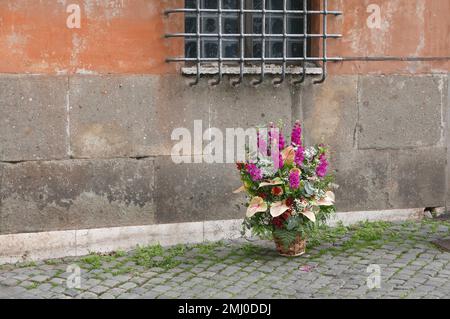 Rome, Italy. 27th Jan, 2023. Flowers for Holocaust Remembrance Day seen in the Jewish Ghetto, Rome, Italy, January 27 2023. On October 16 1943 Nazi soldiers captured 1,023 Jews inhabitants of the Ghetto and loaded them on a train for Auschwitz. Only 16 people came back home. (Photo by Elisa Gestri/SIPA USA) Credit: Sipa USA/Alamy Live News Stock Photo