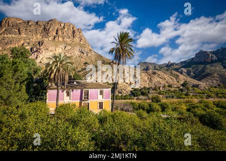 Typical landscape of the Ricote Valley, in the Region of Murcia, Spain with typical two-color house and palm trees, mountains and lemon tree crops in Stock Photo