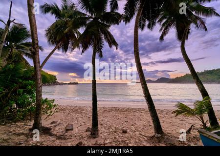 sunset behind palm trees at Anse Takamaka, Mahe, Seychelles Stock Photo