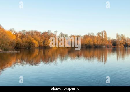 Warm winter morning light at Colwick Park in Nottingham, Nottinghamshire England UK Stock Photo