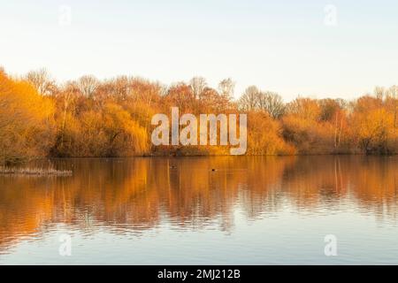 Warm winter morning light at Colwick Park in Nottingham, Nottinghamshire England UK Stock Photo