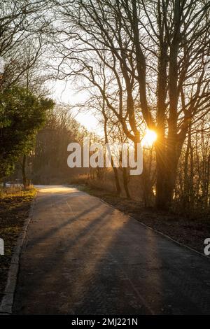 Warm winter morning light at Colwick Park in Nottingham, Nottinghamshire England UK Stock Photo