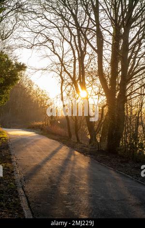 Warm winter morning light at Colwick Park in Nottingham, Nottinghamshire England UK Stock Photo