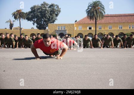 New U.S. Marines with Alpha Company, 1st Recruit Training Battalion, conduct pushups during a motivational run at Marine Corps Recruit Depot San Diego, Aug. 25, 2022. The motivational run was the last physical fitness event conducted in recruit training. Stock Photo