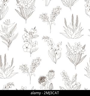 Vector seamless pattern of tropical flowers isolated on white background. Hand drawn floral background. Sketch style tropic design elements Stock Vector