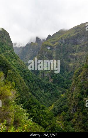 Inland landscape, mountain valley with forest at Caldeirao Verde, Madeira, Portugal Stock Photo