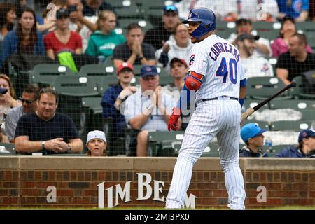 5 Willson Contreras Images, Stock Photos & Vectors