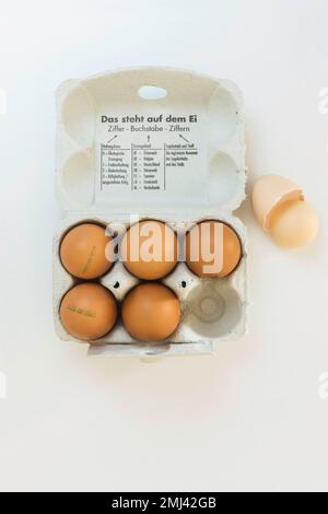 Eggs in an egg carton with designation of origin and farming method, Germany Stock Photo