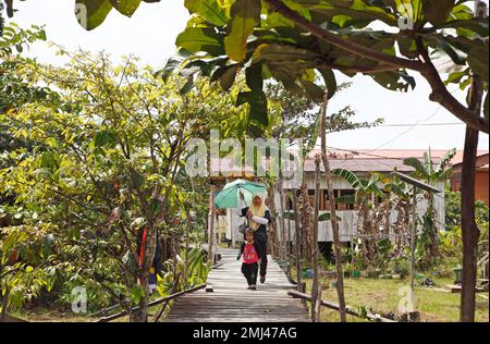 Woman with parasol on the plank path in Abai Village, Kinabatangan District, Sabah, Borneo, Malaysia Stock Photo