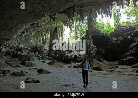 Niah Cave Complex, Niah National Park, Miri District, Sarawak, Borneo, Malaysia Stock Photo