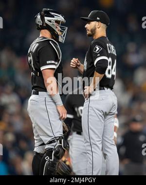 Meet the 2019 Chicago White Sox