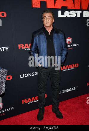 Writer and actor Sylvester Stallone attends a special screening of ...