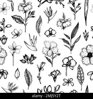 Vector seamless pattern of tropical flowers isolated on white background. Hand drawn floral background. Floral graphic black and white repeating ornam Stock Vector