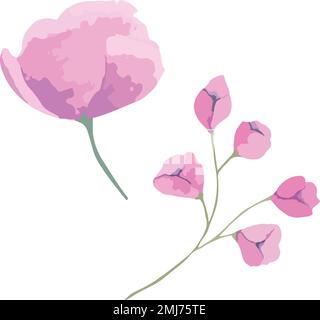 Set of vector watercolor flowers, botanical illustration of magenta color. Stock Vector