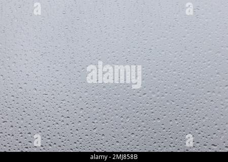Water drops on white and grey background, with a slight blurred and gradient effect. Stock Photo