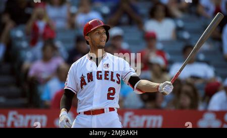 Andrelton Simmons #2 of the Los Angeles Angels is congratulated by