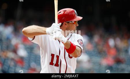 Washington Nationals' Ryan Zimmerman stands in the batter's box during a  baseball game against the Atlanta Braves, Friday, Sept. 13, 2019, in  Washington. (AP Photo/Patrick Semansky Stock Photo - Alamy