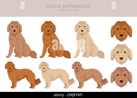 Basque Colours Basque Shepherd dog all colours clipart. Different coat colors and ...