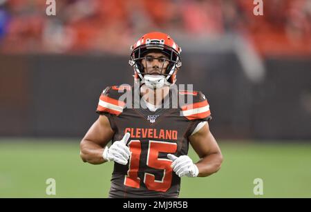 Cleveland Browns wide receiver Damon Sheehy-Guiseppi catches a pass during  practice at the NFL football team's training camp facility, Saturday, July  27, 2019, in Berea, Ohio. (AP Photo/Tony Dejak Stock Photo 