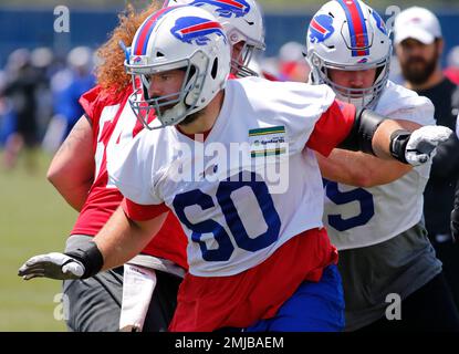 Buffalo Bills linebacker Tremaine Edmunds (49) during Monday Night Football  against the New England Patriots, October 29, 2018, in Orchard Park, NY.  (AP Photo/Chris Cecere Stock Photo - Alamy