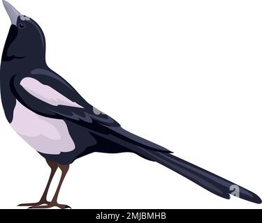 Magpie icon. Wild bird. Black wing animal isolated on white background Stock Vector