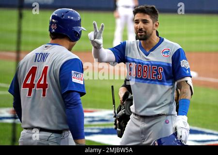 Chicago Cubs' Nicholas Castellanos (6) celebrates with teammate