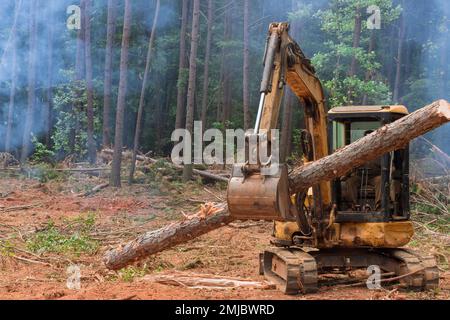 As part deforestation work machinery is used to remove trees lift logs ...